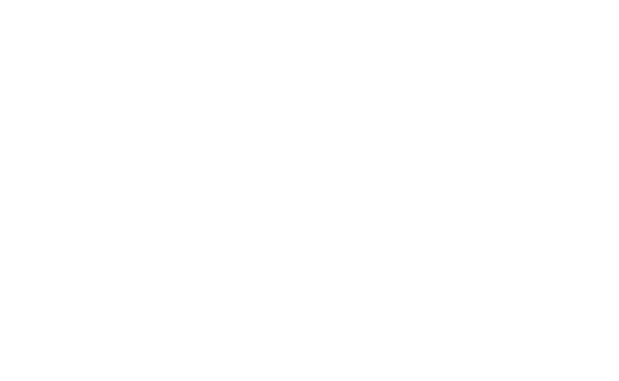 Day3 11.14 SUN